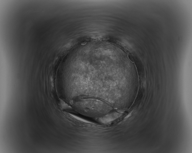 X0000086321106200704131647