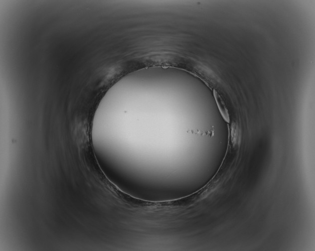 X0000086321107200704131647