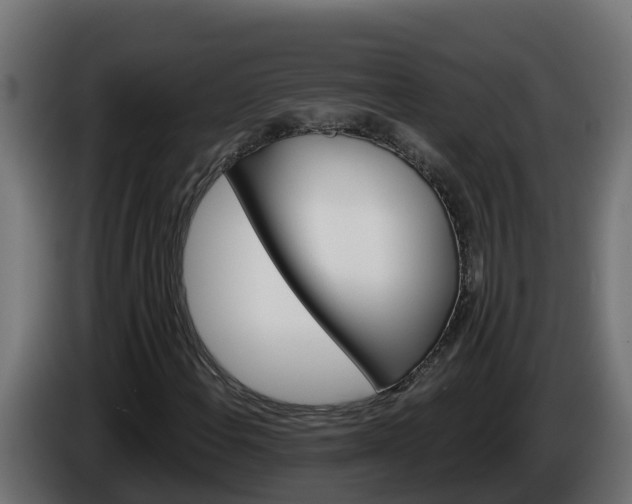 X0000086321108200704131647