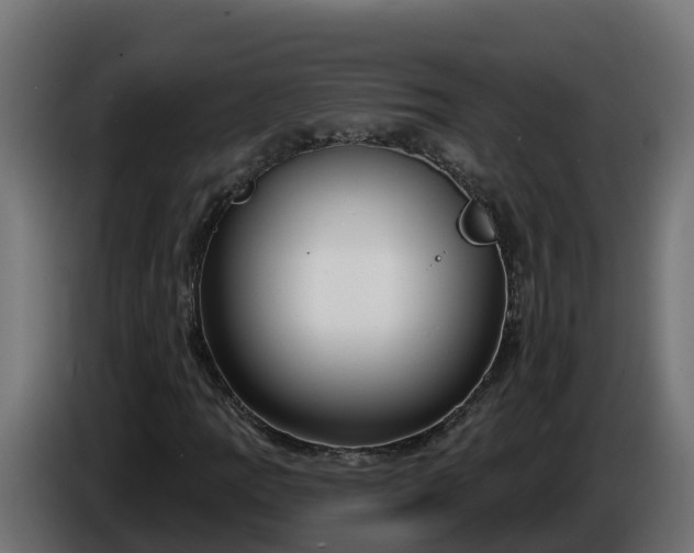 X0000086321109200704131647