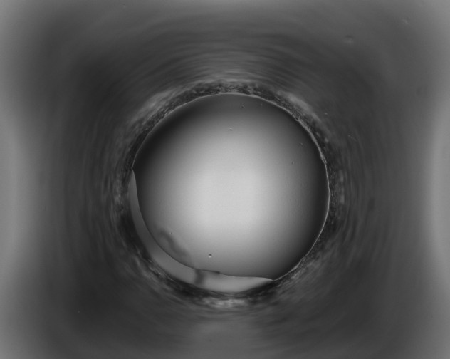 X0000086321110200704131647