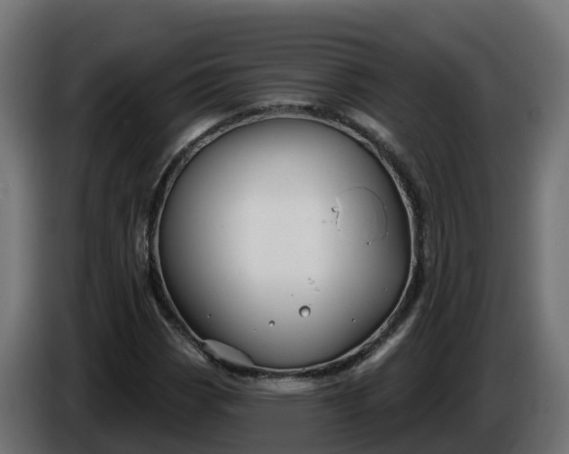 X0000086321113200704131647