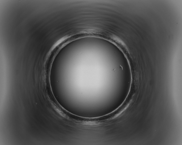 X0000086321114200704131647