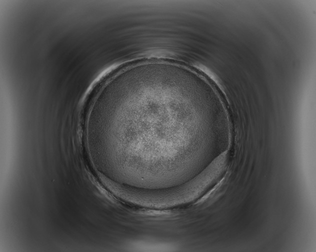 X0000086321115200704131647