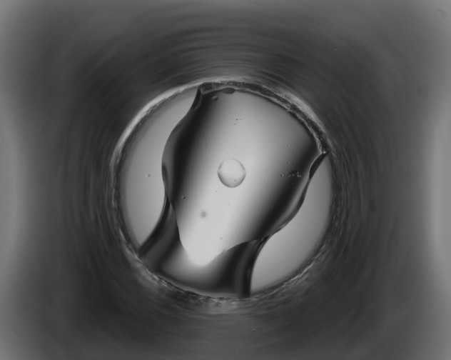 X0000086321116200704131647