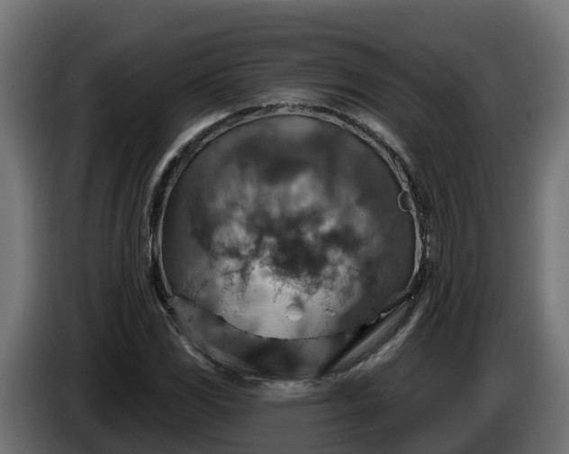 X0000086321117200704131647