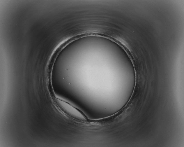 X0000086321119200704131647