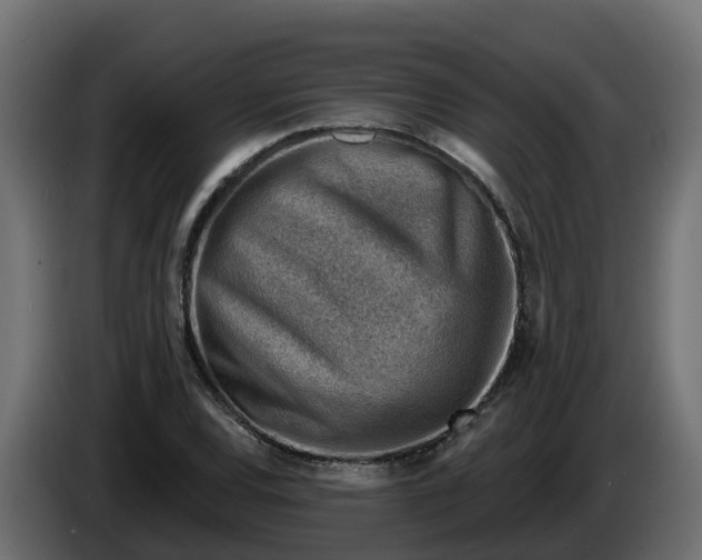 X0000086321120200704131647