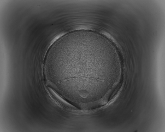 X0000086321121200704131647