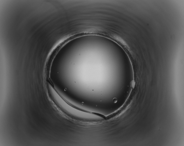 X0000086321122200704131647