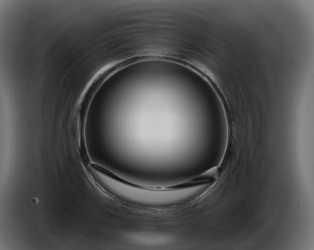 X0000086321123200704131647