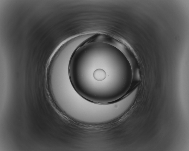 X0000086321124200704131647