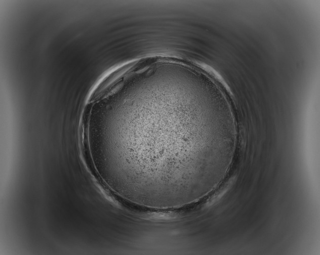 X0000086321125200704131647