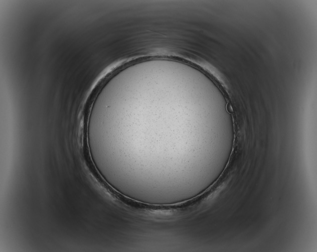 X0000086321126200704131647