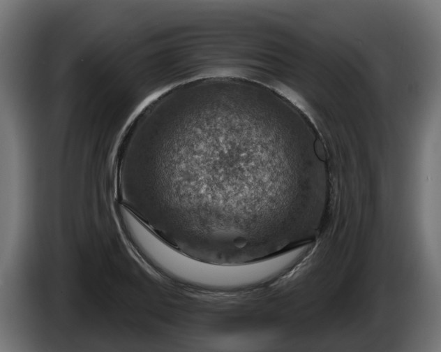 X0000086321127200704131647