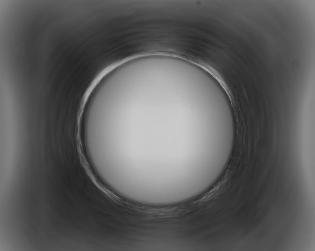 X0000086321128200704131647