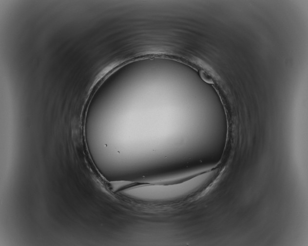 X0000086321129200704131647