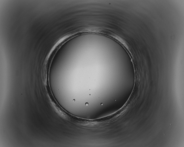 X0000086321131200704131647