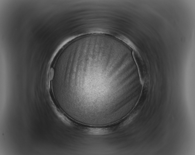 X0000086321132200704131647