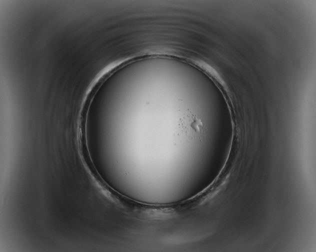 X0000086321133200704131648