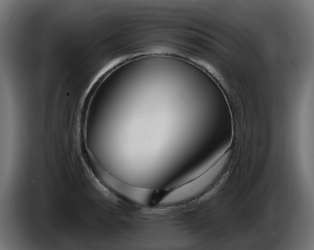 X0000086321134200704131648