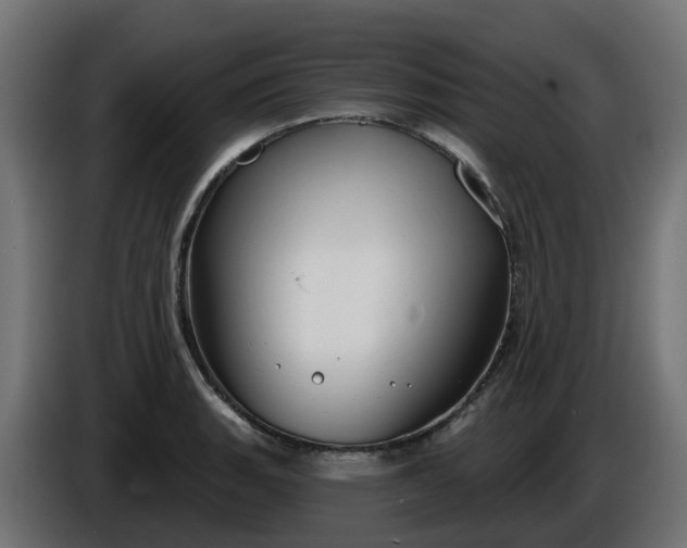 X0000086321135200704131648