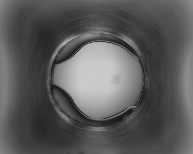 X0000086321136200704131648