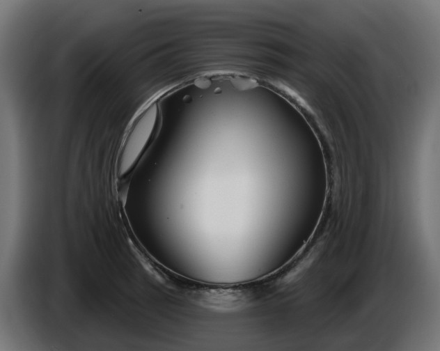 X0000086321137200704131648