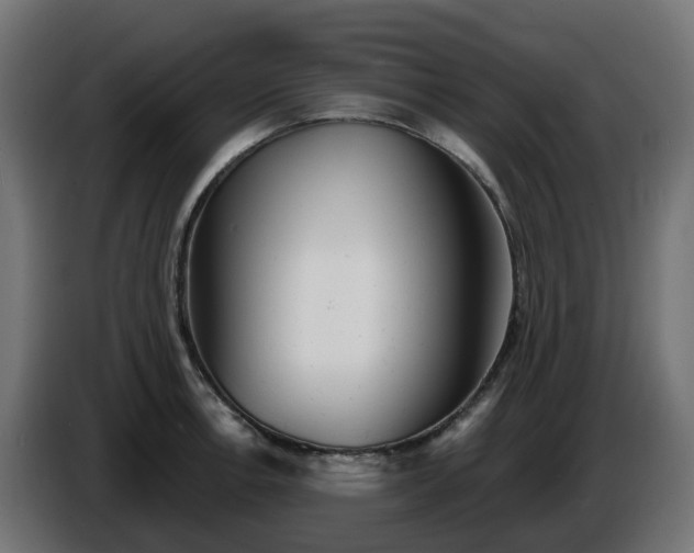 X0000086321138200704131648