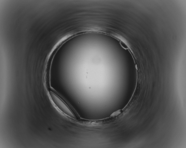 X0000086321139200704131648