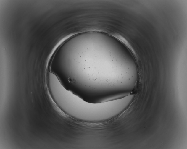 X0000086321140200704131648