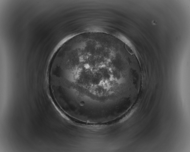 X0000086321141200704131648