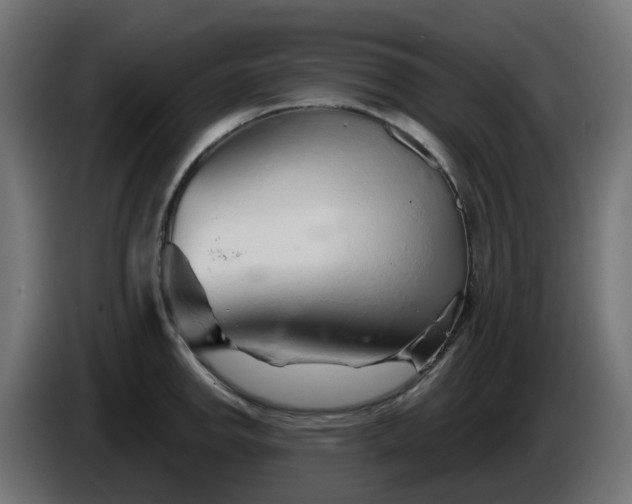 X0000086321142200704131648