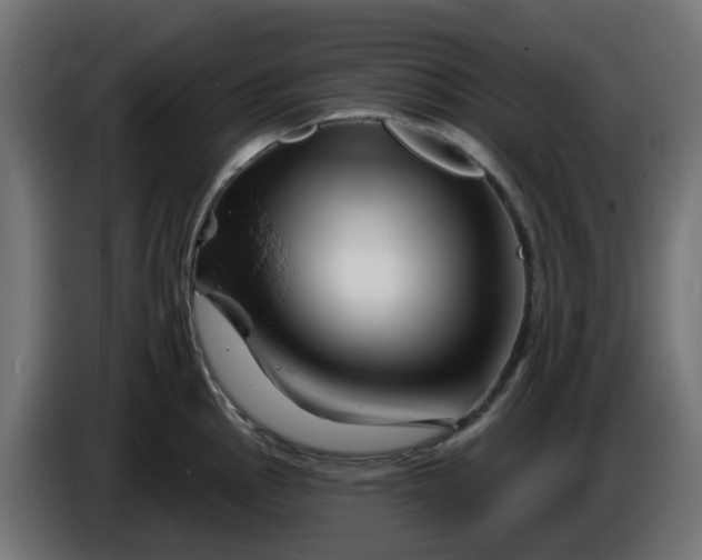 X0000086321145200704131648