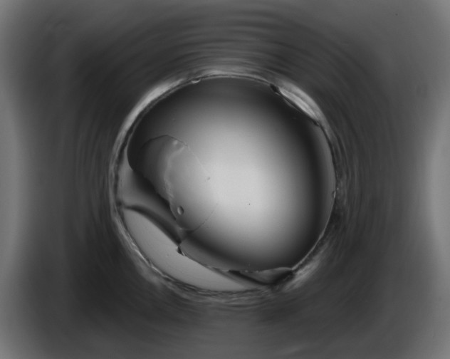 X0000086321146200704131648