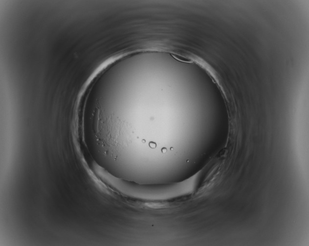 X0000086321147200704131648