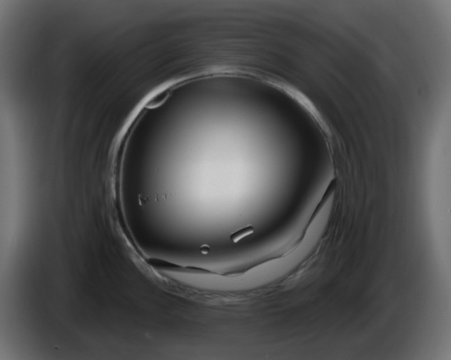 X0000086321148200704131648