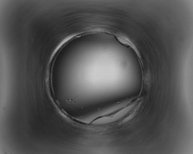 X0000086321149200704131648