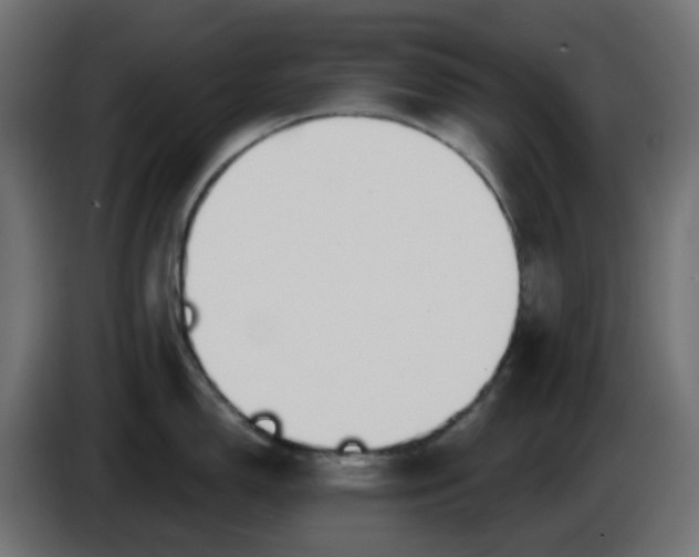 X0000086321150200704131648