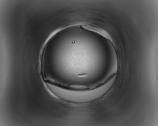 X0000086321151200704131648