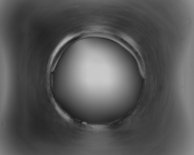 X0000086321152200704131648