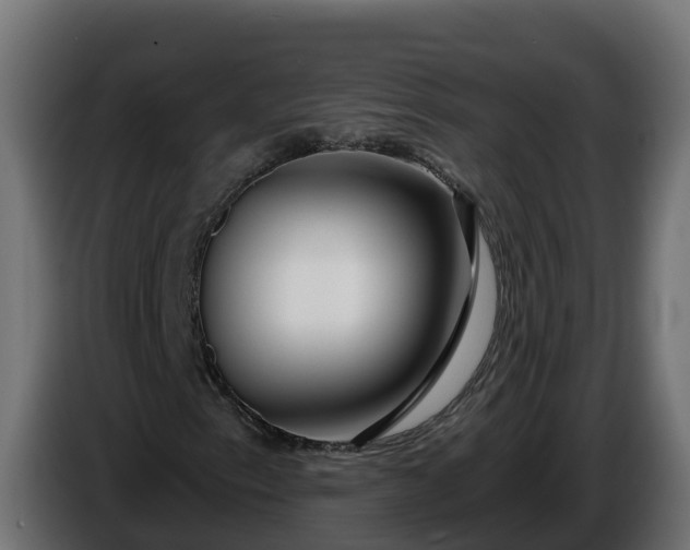 X0000086321153200704131647