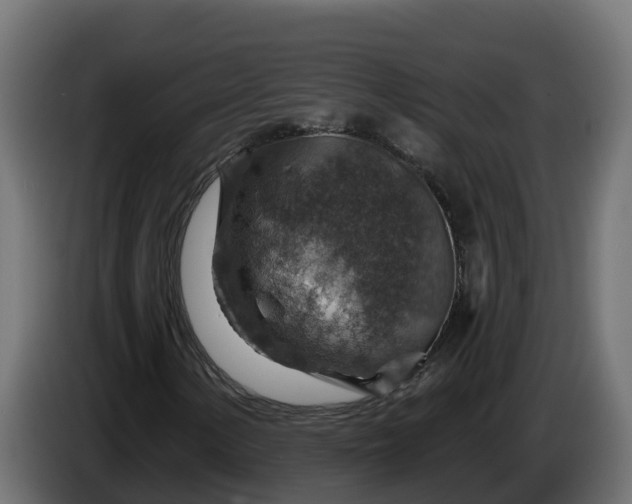 X0000086321154200704131647