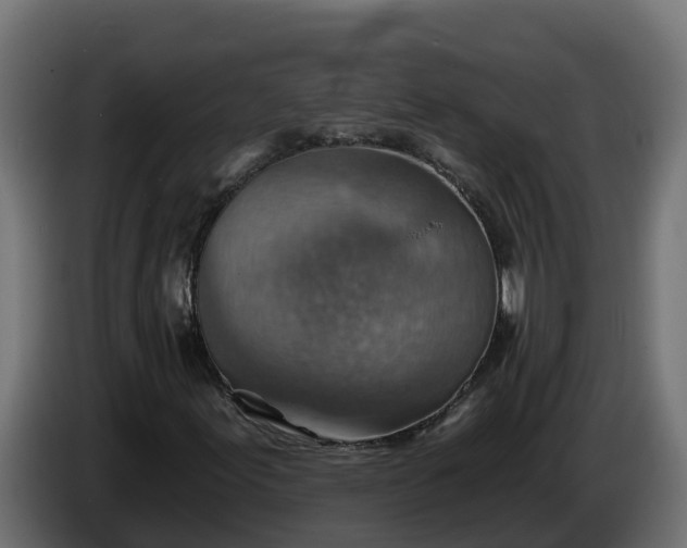 X0000086321155200704131647