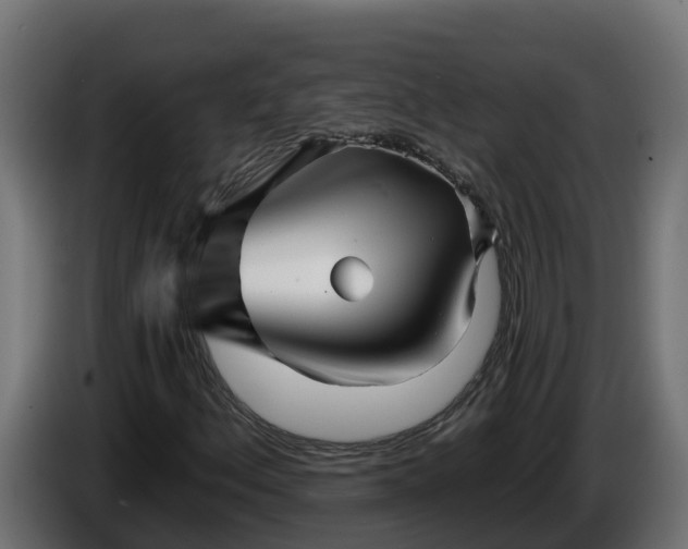 X0000086321156200704131647