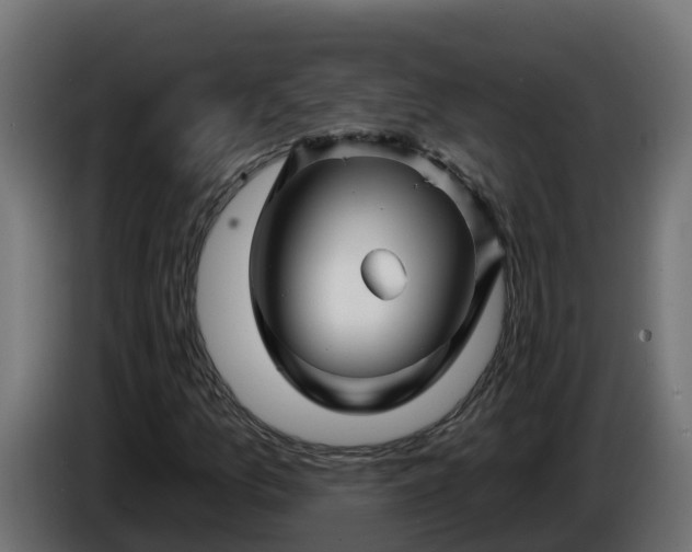 X0000086321157200704131647