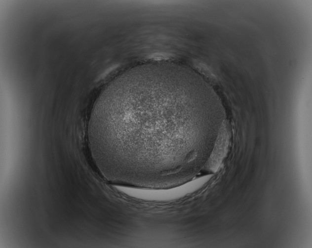 X0000086321158200704131647