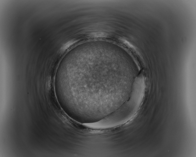 X0000086321161200704131647