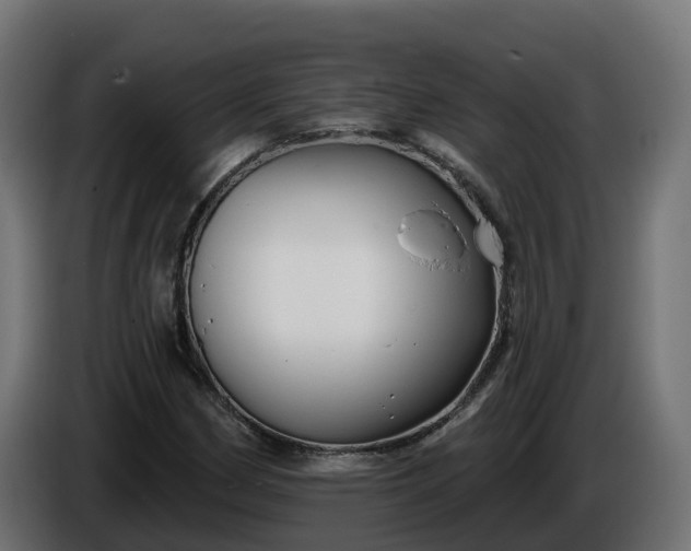 X0000086321162200704131647