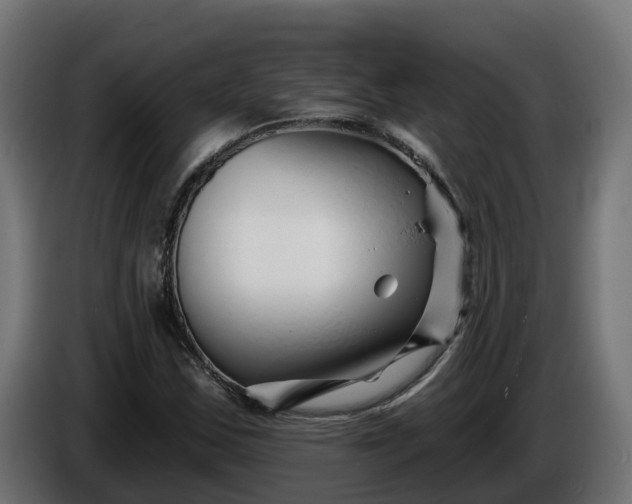 X0000086321163200704131647